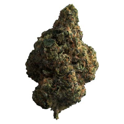 The Loud Plug - Tropicana Cookies - - Dried Flower