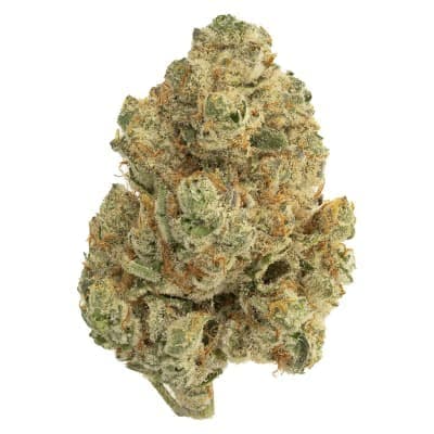 The Loud Plug - Venom OG - - Dried Flower