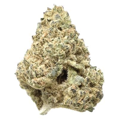 Snicklefritz - Sativa - - Dried Flower