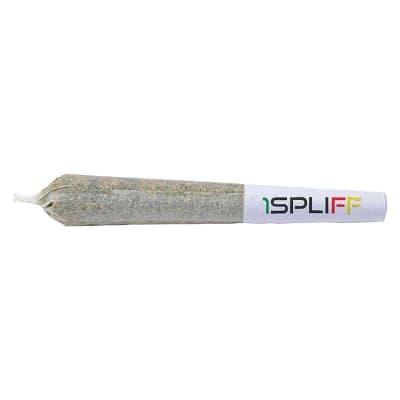 1Spliff - Purple Aya Pre-roll - 1x0.5g - Pre-Rolls