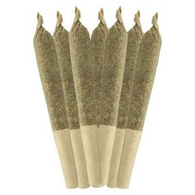 Sheeesh! - Jungle Kush Pre-Roll - 7x0.5g - Pre-Rolls