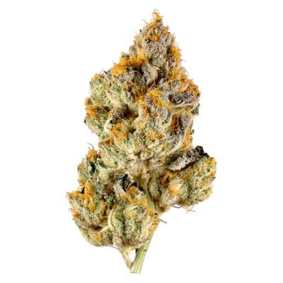 3Saints - Spacewalker OG - - Dried Flower