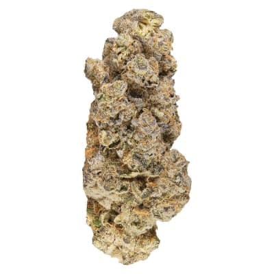 Broken Coast - Cherry Cheesecake - - Dried Flower