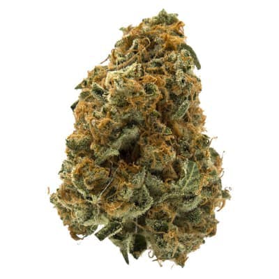 MTL Cannabis - Sage n' Sour - -  Dried Flower