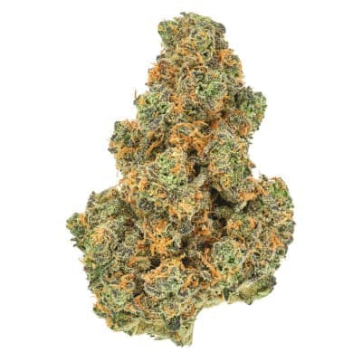 San Rafael '71 - Pink Diesel '71 - - Dried Flower