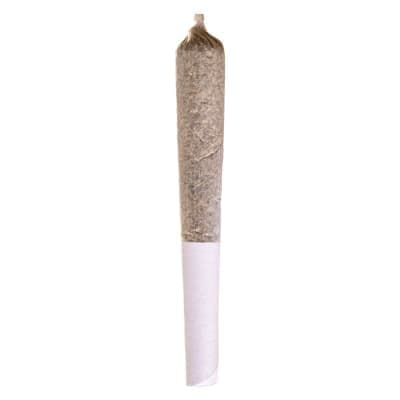 Potluck - Apple Fritter Pre-Roll - 1x0.5g - Pre-Rolls